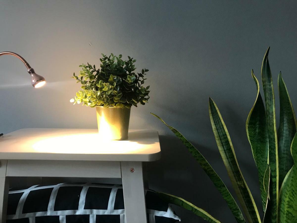 Apartament Centrum Zielona Góra Kültér fotó